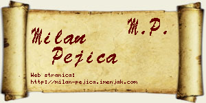Milan Pejica vizit kartica